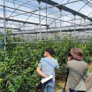 해피그린농장 이미지