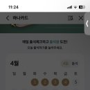 씨제이올리브영전북