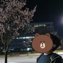 역전할머니맥주내포