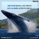 고래사냥 - 부평구 동암남로 11 | 고래사냥