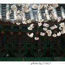 신원사 - 1052 | 신원사