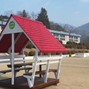 가곡초등학교대곡분교장 네이버블로그
