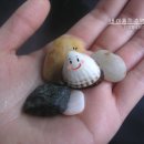 사진동화