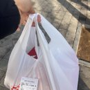 탐나는피자 인천1호점 | 구월동피자 맛집 발견! 토요일 점심에 즐긴 탐나는 피자 솔직후기 🍕