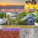 밝음농장 이미지