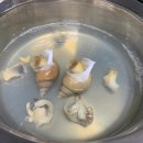 더좋은탕 이미지