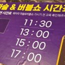 사파리체험테마파크 이미지