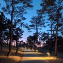 율곡로 | 서울 숨은 힐링 산책로, 율곡로 궁궐담장길 율곡터널 분위기좋은 데이트코스