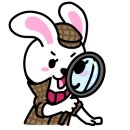 신영쭈꾸미 이미지
