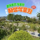 2021 울릉도여행 : 걷기 좋은 울릉자생식물원