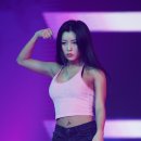 헤이버터