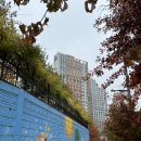 호명초등학교 정문 이미지