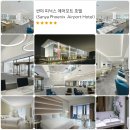 ♻️ (부산) 하이난 최상급 고염전 (古盐田) cc ♻️