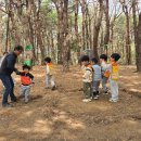 주산초병설유치원 이미지