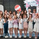 헬로컷 Daum카페