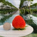 재인농장 이미지