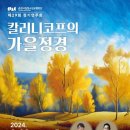 춘천청소년교향악단 이미지