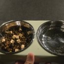 힐링그루밍 이미지