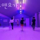 웰댄스앤요가