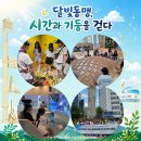 여름캠프 - ‘달빛동맹, 시간과 기둥을 걷다’ 이미지