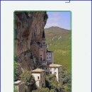 치아살리기 드림365치과의원 이미지