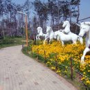 (주)디자인랜드 이미지