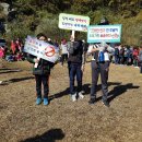 서부초등학교 이미지