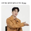감각의요일