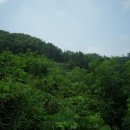 황세득 묘 이미지