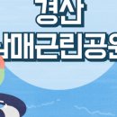 경산시 남매근린공원 | 아이들과 무료 물놀이 어디갈까? 경산 남매공원 바닥분수 리얼 후기 🏖️