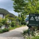 생태농원소향 이미지