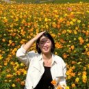 세종대성고등학교 이미지