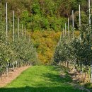 드림농원 이미지