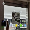 크레도 수원 | 두정동 천안 파충류샵 낭게코 크레스티드게코 릴리 아잔틱 분양 후기