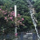 산내농협하나로마트 이미지