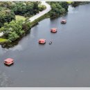 성호낚시터 이미지