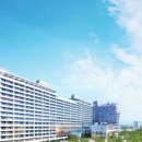 스테이펫_호텔 이미지