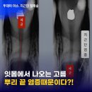 연세으뜸치과의원 이미지