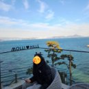 옥포대첩로 | 거제 카페 몰리힐스｜매미성 근처 오션뷰 커피·베이커리 내돈내산 후기!