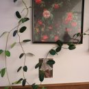 카페 프리헷(파주초롱꽃마을점) 이미지