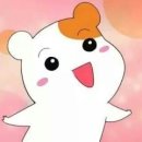 메인 휘트니스 백마점 이미지