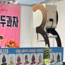 꽃과 함께하는 힐링원예 (7월) | 제 16회 대구 꽃박람회 방문후기, 엑스코에서 만난 도심 속 꽃의 정원