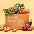 스마트 농산물 물류와 판매 실무 | ① 지역 농산물 직거래 온라인화 사업화 전략=>② 동네 배달 대행 → 지역 물류회사 설립 사업화 #55