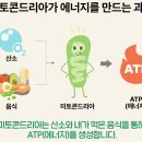 에너지원
