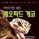 게코모아