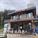 [속초] 진짜 현지인 추천 맛집 <송가네오리촌> 솔직 후기