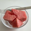 핀다요가 | [임신일기]임신16주~20주까지(2차 정밀초음파, 성별확인, 임산부요가 시작)