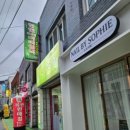 엘샤론코리아 | 개금 골목시장 천연 염색방, '엘샤론코리아' 뿌리염색 후기 (내돈내산)