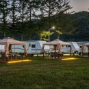 캠핑 앨리스 이미지