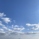 동동 Daum카페